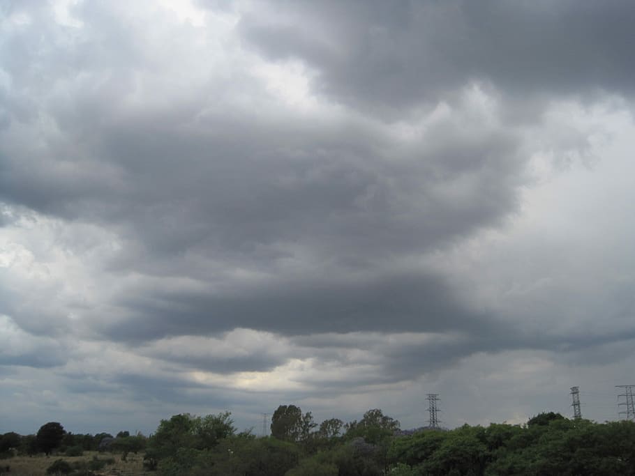 núvols, baix, densa, tempestuós, cel, gris, núvol - cel, temps, arbre, cap gent, dia, planta, naturalesa, bellesa a la natura, tempesta, medi ambient, escenics - natura, núvol, a l'aire lliure, núvol de tempesta, tranquil·litat, escena tranquil·la, creixement, vista d’angle baix, paisatge, ominós, 2K