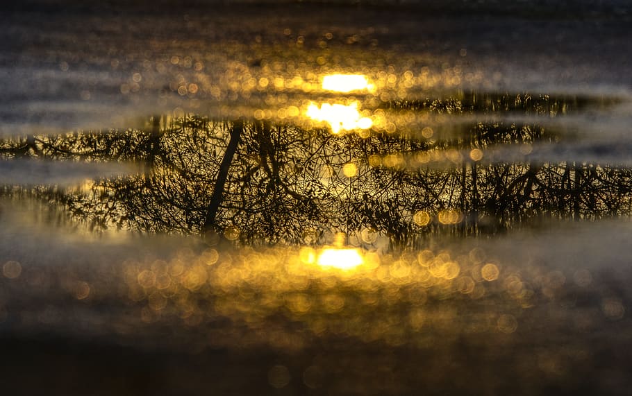 pou de l'aigua, duplicació, reflexió, arbre, estètic, fotografia de bassa, posta de sol, configuració, sol, superfície de l'aigua del mirall, vespre, tarda, crepuscle, bassal, aigua, paisatge, hdr, rang dinàmic alt, contrast, fora de focus, nitidesa, humor, llum, il·luminació, Nadal, fons, targeta de felicitació, mapa, bellesa a la natura, planta, tranquil·litat, cel, cap gent, naturalesa, llac, escenics - natura, escena tranquil·la, llum solar, color taronja, enfocament selectiu, a l'aire lliure, 5K