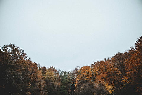 fotografie, man, vervelend, zwart, bubbel jack, lang, bomen, bewolkt, hemel, bubbel, jas, boom, natuur, herfst, Bos, landschap, Vakantiebestemmingen, buitenshuis, bos-, blad, seizoen, geen mensen, kleurenbeeld, schoonheid in de natuur, dag, fabriek, kalmte, heldere lucht, groei, kopie ruimte, rustige scène, scenics - natuur, niet-stedelijke scène, idyllisch, verandering, land-, 5K, CC0, publiek domein, royaltyvrij