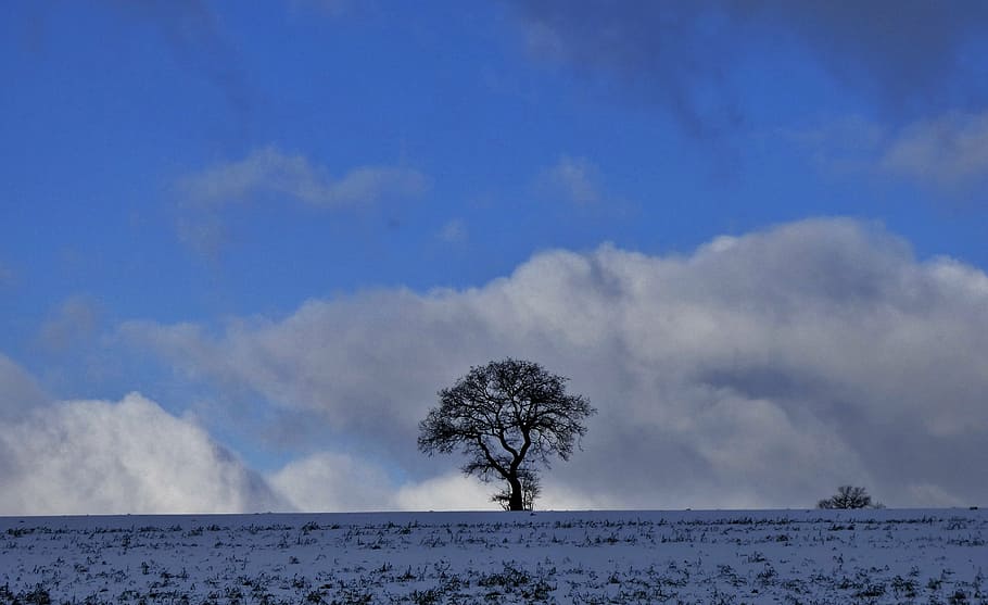 árvore, natureza, inverno, panorama, silhueta, nuvens, céu azul, Luxemburgo, nuvem - céu, plantar, céu, neve, temperatura fria, beleza na natureza, meio Ambiente, scenics - natureza, azul, ninguém, terra, tranquilidade, dia, ao ar livre, cena tranquila, 4K