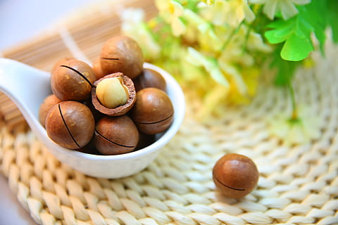 bunch, macadamia seeds, macadamia nuts, nut, protein, food, food and drink, bowl, healthy eating, fruit, wellbeing, freshness, no people, basket, easter, egg, selective focus, springtime, easter egg, close-up, still life, table, nature, focus on foreground, breakfast, 5K, CC0, public domain, royalty free