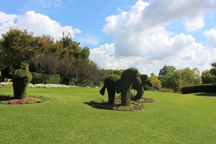 herba, elefant, fet, arbre, núvol - cel, cel, color verd, animal, planta, parc, art i artesania, naturalesa, topiaria, escultura, dia, representació, creixement, parc - l'home va fer espai, cap gent, estàtua, representació humana, tranquil·litat, bellesa a la natura, a l'aire lliure, cobertura, 5K