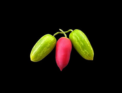 daržovės, agurkai, cukes, daržovių, maisto, sveikas, ingredientas, mityba, šviežumas, natūralus, vegetaras, stiebo, nevirti, neapdorotas, šviežias, ekologiškas, sveikata, augalų, juodas fonas, Maistas ir gėrimai, studija, sveika mityba, gerovę, žalia spalva, patalpose, natiurmortas, Iš arti, vaisiai, nėra žmonių, Iškirpti, kopijavimo vietos, objektų grupė, žalias maistas, raudona, pipirų, subrendęs, 4K, CC0, Viešasis domenas, nemokamai