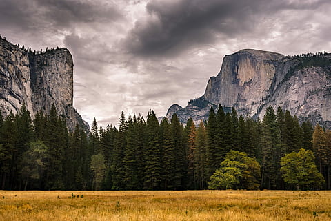 halv dome storm, halvkuppel, Yosemite, national, parkere, bjerg, himmel, Sky, Mark, sierra, vejr, træ, Skov, fyrretræ, sky - himmel, plante, scenics - natur, jord, landskab, skønhed i naturen, natur, miljø, storm, nåletræ, overskyet, ikke-urbane scene, ingen mennesker, rolig scene, udendørs, fyrreskov, eviggrønne træ, formation, 4K, CC0, offentligt domæne, royaltyfrie