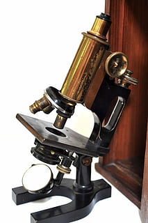 microscópio, Veja, ma, laboratório, médico, remédio, cientista, biologia, equipamento, pesquisa, científico, análise, experimentar, saúde, olhando, biotecnologia, microbiologia, tiro do estúdio, música, fundo branco, cultura artística e entretenimento, dentro de casa, instrumento musical, ninguém, ainda vida, fechar-se, único objeto, madeira - material, latão, metal, estilo retro, Cortar fora, comunicação, Antiguidade, instrumento de bronze, tecnologia, 4K, CC0, domínio público, royalty free