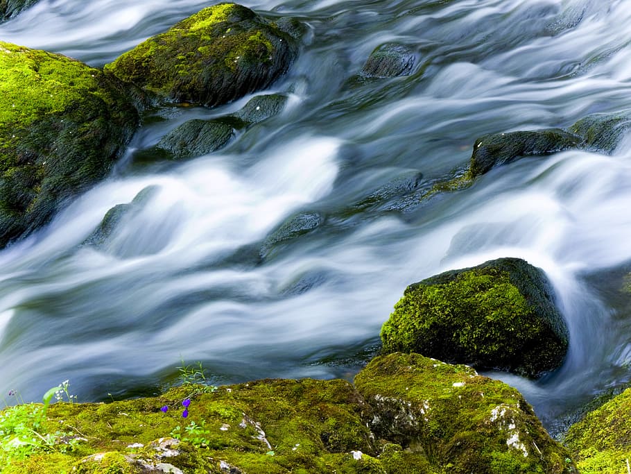 voda, mech, řeka, dynamika, Příroda, kámen, Skála, bublina, koryto, krása v přírodě, scenics - příroda, pohyb, pevný, rock - objekt, nikdo, rozmazaný pohyb, dlouhé expozice, rostlina, zelená barva, tekoucí voda, den, přistát, vodopád, strom, venku, tekoucí, proud - tekoucí voda, moci, deštný prales, 4K