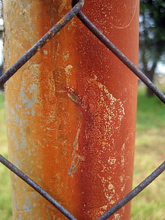 palo arrugginito, polo, verticale, ferro, ossidato, arrugginito, recinto, avvicinamento, concentrarsi sulle conoscenze acquisite, nessuno, giorno, metallo, colore arancione, all'aperto, sicurezza, natura, protezione, confine, barriera, rosso, pianta, vecchio, danneggiato, tubo flessibile, 2K, CC0, dominio pubblico, privo di copyright