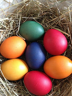 egg, easter, nest, easter egg, colored egg, colored, happy easter, color, easter theme, easter greeting, colorful, food, multi colored, animal egg, food and drink, no people, animal nest, hay, holiday, close-up, indoors, celebration, high angle view, still life, vulnerability, straw, beginnings, 2K, CC0, public domain, royalty free