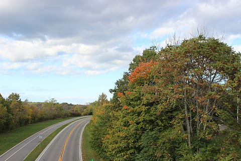 Straße, Himmel, Bäume, Wolken, offene Strasse, Reise, Natur, ländlich, Gras, Autobahn, Aussicht, draussen, Landschaft, Pflanze, Baum, wolke - himmel, Transport, Richtung, keine Leute, der Weg nach vorn, Schönheit in der Natur, Tag, Wachstum, Zeichen, Symbol, die Straßenmarkierung, Markierung, Transportmittel, Land, Nicht-städtische Szene, draußen, abnehmende Perspektive, Veränderung, 5K, CC0, gemeinfrei, lizenzfrei