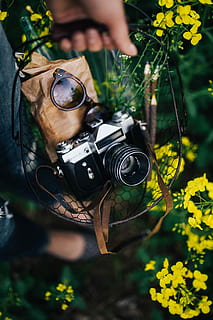 vintage, kamera, bidang, berbunga, pemerkosaan, wanita, musim panas, berkembang, fotografi, juru potret, hobi, memperkosa, rapeseed, musim semi, zenit, gairah, kamera - peralatan fotografi, alam, laki-laki, orang-orang, di luar rumah, satu orang, tema fotografi, etnis kaukasia, memotret, tangan manusia, bagian tubuh manusia, dewasa, tangan, menanam, memegang, orang sungguhan, fokus pada latar depan, bunga, hari, tanaman berbunga, teknologi, peralatan fotografi, bagian tubuh, aktivitas, kamera digital, jari, syuting, 4K, CC0, domain publik, bebas royalti