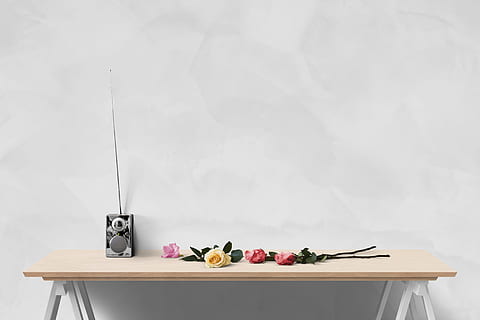 mawar, bunga-bunga, meja, poster, dinding, maket, pedalaman, 3d, rendering, dekorasi, mebel, dalam ruangan, tidak ada orang, bunga, masih hidup, tanaman berbunga, fitur dinding - bangunan, menanam, wadah, menyalin ruang, kesegaran, makanan dan minuman, makanan, alam, botol, makan sehat, kesejahteraan, publikasi, Book, 5K, CC0, domain publik, bebas royalti