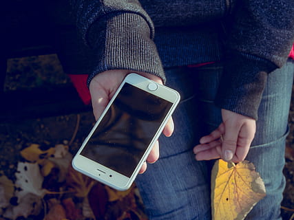 Person, halten, nach 2014, Beitrag -2014 iphone, Apfel, iphone, 6s, Plus, Handy, Mobiltelefon, Kommunikation, Bildschirm, modern, Smartphone, Gerät, elektronisch, Digital, Clever, Anzeige, Technologie, berühren, Neu, Hand, Weiß, Tablette, Apple Computer, jung, Mann, Menschen, Kerl, Lebensstil, Student, attraktiv, Herbst, Sonne, draussen, sonnig, Gelb, Park, fallen, Natur, Frau, weiblich, Mädchen, Dame, sauber, kabellose Technologie, tragbares Informationsgerät, Mobiltelefon, Verbindung, eine Person, Telefon, telefonieren, echte Menschen, menschliche Hand, Legere Kleidung, Mittelteil, menschliches Körperteil, Freizeitbeschäftigung, Lebensstile, Fotografie-Themen, draußen, warme Kleidung, Jeans, 4K, CC0, gemeinfrei, lizenzfrei