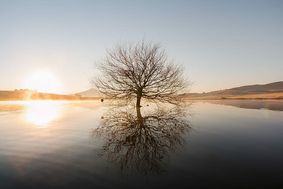 silueta, marchit, arbre, mig, aigua, cos, posta de sol, reflexió, llac, muntanyes, muntanya, llum solar, càlid, cruixent, netejar, aventura, vagar, crear, explorar, cel, tranquil·litat, naturalesa, escenics - natura, sol, arbre nu, cap gent, escena tranquil·la, bellesa a la natura, planta, medi ambient, paisatge, escena no urbana, a l'aire lliure, 5K