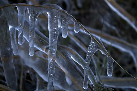 Ice, Nature, Cold, cold temperature, winter, frozen, icicle, snow, close-up, water, no people, frost, day, focus on foreground, environment, drop, wet, plant, beauty in nature, outdoors, purity, melting, rain, raindrop, dew, blizzard, 4K, CC0, public domain, royalty free