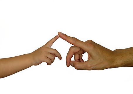 mãos, dedo, contato, afeição, conectividade, criança, homem, mão de criança, mão do homem, mão humana, parte do corpo humano, mão, dedo humano, fundo branco, união, emoção positiva, parte do corpo, duas pessoas, tiro do estúdio, unidade, amor, pessoas, mulheres, adulto, Cortar fora, homens, emoção, fêmeas, trabalho em equipe, membro humano, braço humano, 5K, CC0, domínio público, royalty free