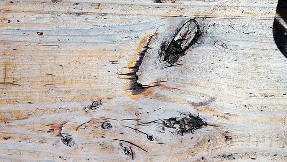 træ, korn, struktur, mønster, forvitret, knothole, træstruktur, bord, tæt, natur, træ - materiale, baggrunde, planke, materiale, tekstureret, Brun, ru, abstrakt, gammel, tæt på, fuld ramme, ingen mennesker, træstamme, bagagerum, dag, murbygningsfunktion, beskadiget, udendørs, metal, plante, kreativitet, dårlig stand, 4K, CC0, offentligt domæne, royaltyfrie
