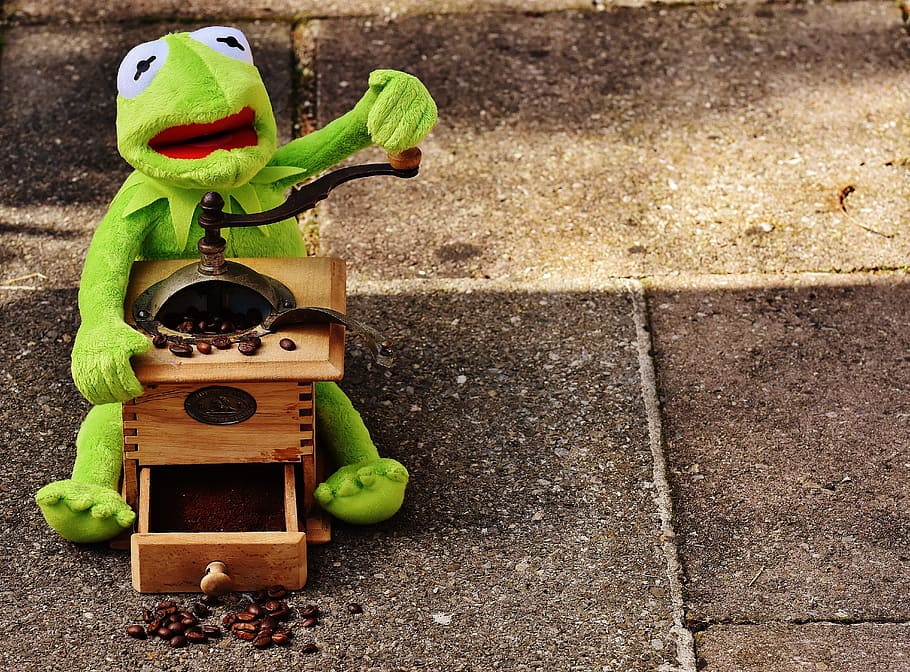 kermit, granota, celebració, premsa de cafè, superfície de pedra, molinet, grans de cafè, mòlta, divertit, bonic, joguines, verd, joguina suau, animal de peluix, figura, joguina, representació animal, representació, cap gent, dia, color verd, art i artesania, naturalesa, animal, creativitat, a l'aire lliure, primer pla, menjar, sendera, temes d'animals, artesania, vista d’angle alt, contenidor, escultura, 5K