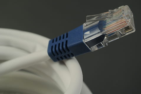 niebieski, biały, kabel Ethernet, sieć, kabel, wtyczka, wtyczka połączenia sieciowego, kabel komputerowy, Internet, śieć komputerowa, technologia, studio strzał, połączenie, porozumiewanie się, zbliżenie, wewnątrz, technologia bezprzewodowa, komputer, żadnych ludzi, czarne tło, prędkość, Elektryczność, kolorowe tło, wyposażenie komputera, światłowód, forma komunikacji, router, 4K, CC0, domena publiczna, darmowe zdjęcia
