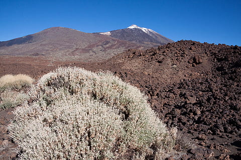 teide, volkan, dağ, dağ, zirve, volkan, dağ, zirve, Pico del Teide, teyde, Ulusal park, tenerife, Kanarya Adaları, 3718 m, 3718 metre, 3718, kar, mavi, beyaz, yeşil, kahverengi, lav, lav taşı, lav alanları, kayalar, ay manzarası, çalı, yöresel, dağ silsilesi, peyzaj, çöl, doğa, gün, manzaralar - doğa, bitki, arazi, doğada güzellik, gökyüzü, çevre, açık hava, sakin sahne, ağaç, insansız, kentsel olmayan sahne, huzur, seyahat yerleri, kurak iklim, iklim, açık havada, yarı kurak, bahar, 4K, CC0, kamu malı, telif ücretsiz