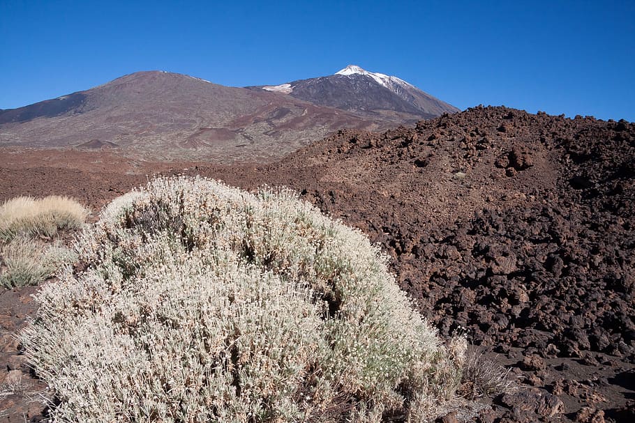 Teide, vulkan, bjerg, bjerg, topmøde, vulkan, bjerg, topmøde, pico del teide, teyde, Nationalpark, tenerife, Kanariske øer, 3718 m, 3718 meter, 3718, sne, blå, hvid, grøn, Brun, lava, lavastene, lavafelt, kampesten, månelandskab, Busk, endemisk, bjergkæde, landskab, ørken, natur, dag, scenics - natur, plante, jord, skønhed i naturen, himmel, miljø, skyfri himmel, rolig scene, træ, ingen mennesker, ikke-urbane scene, ro, rejsemål, tørt klima, klima, udendørs, halvtørre, forår, 4K