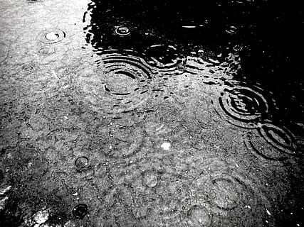 Regen, Tropfen, Boden, nass, regnet, Wasser, keine Leute, High Angle View, Tag, Natur, Pfütze, gewellt, Vollbild, draußen, Hintergründe, fallen, Blase, Ufergegend, Reflexion, Nahansicht, Stadt, Regenzeit, Regentropfen, 4K, CC0, gemeinfrei, lizenzfrei