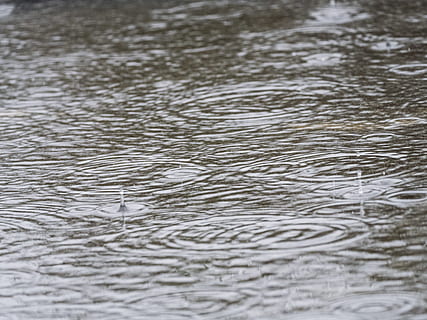 regn, tordenvejr, regndråbe, skybrud, storm, regnvejr, crap vejr, strömender regn, ringe, koncentriske, dyster, Trist, grå, regnskyl, vand, våd, dårligt vejr, opslæmning, by, by-, forfærdelig, piblede, baggrunde, fuld ramme, ingen mennesker, havnefronten, sø, natur, bevægelse, dag, mønster, selektiv fokusering, udendørs, ro, overflade, renhed, indvirkning, 5K, CC0, offentligt domæne, royaltyfrie