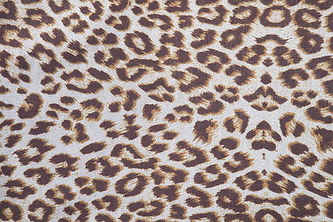 nero, Marrone, tessile di leopardo, macchiato, tessuto, tessile, modello astratto, colore vivido, fotografia, macro, dettaglio, design, sfondo, modello, vicino, avvicinamento, morbido, copertina, astratto, cotone, bellissimo, studio, nessuno, immagine a colori, colpi di dettaglio, struttura, sfondi, messa a fuoco selettiva, seta, foto, tessitura, dipinto, copia spazio, colore, composizione, orizzontale, fotogramma intero, strutturato, animale, grande gatto, temi animali, pelle di animale, modello naturale, mammifero, giorno, leopardo, segni di animali, un animale, vista dall'alto, clima arido, 4K, CC0, dominio pubblico, privo di copyright