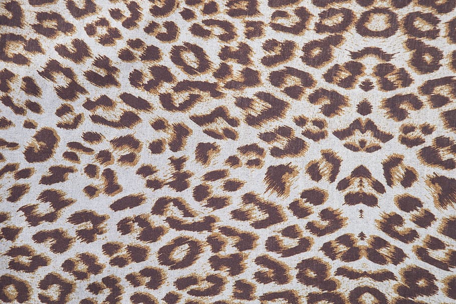 nero, Marrone, tessile di leopardo, macchiato, tessuto, tessile, modello astratto, colore vivido, fotografia, macro, dettaglio, design, sfondo, modello, vicino, avvicinamento, morbido, copertina, astratto, cotone, bellissimo, studio, nessuno, immagine a colori, colpi di dettaglio, struttura, sfondi, messa a fuoco selettiva, seta, foto, tessitura, dipinto, copia spazio, colore, composizione, orizzontale, fotogramma intero, strutturato, animale, grande gatto, temi animali, pelle di animale, modello naturale, mammifero, giorno, leopardo, segni di animali, un animale, vista dall'alto, clima arido, 4K