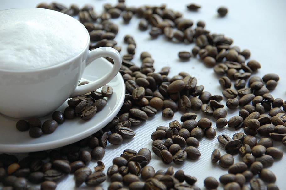 blanc, ceràmica, tassa, plat, grans de cafè, cafè, mongetes, espresso, torrat, begudes, cafè sencer, tassa de cafè, aroma, tancar, benefici de, cafeteria, trencar, fragància, mongetes rostides, marró, porcellana, negre, menjar i beguda, gra de cafè torrat, cafè - beguda, natura morta, menjar, primer pla, beure, frescor, taula, a l'interior, refresc, cap gent, enfocament selectiu, vaixella, beguda calenta, cafeïna, begudes sense alcohol, tassa de te, 2K