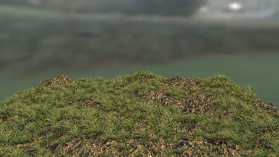 hierba, licuadora, 3d, licuadora, 3d, naturaleza, nadie, crecimiento, campo, día, tranquilidad, planta, agua, belleza en la naturaleza, color verde, árbol, tierra, lago, escena tranquila, paisajes - naturaleza, escena no urbana, al aire libre, ambiente, bosque, centrarse en primer plano, 1080P, CC0, dominio público, libre de derechos