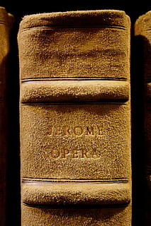 boek, hardcover, bibliotheek, kennis, opleiding, papier, wijsheid, literatuur, geschiedenis, Universiteit, school-, lezen, schrijven, vertaling, literair, roman, aan het studeren, boekenplank, boekenkast, wet, detailopname, geen mensen, binnenshuis, publicatie, oud, getextureerde, hout - materiaal, architectuur, bruin, tekst, het verleden, stilleven, achtergronden, ingebouwde structuur, enkel object, communicatie, volledig kader, hardcover boek, getextureerd effect, 5K, CC0, publiek domein, royaltyvrij