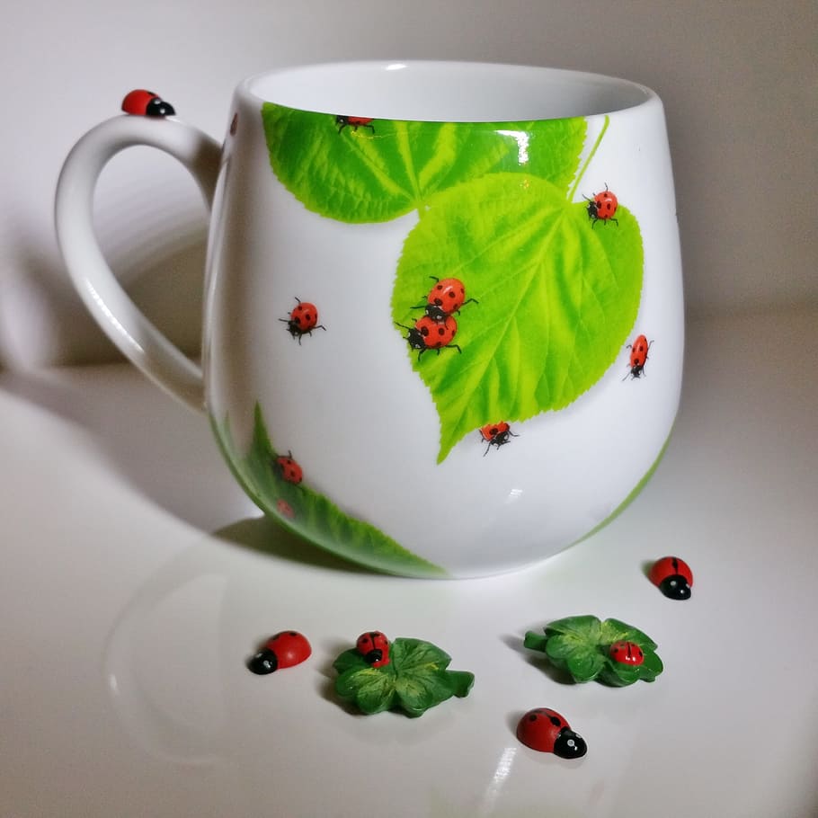 tazza, fortuna, Quadrifoglio, coccinella, portafortuna, in casa, colore verde, cibo e bevande, foglia, parte vegetale, cibo, nessuno, avvicinamento, bere, mangiare sano, natura morta, natura, rosso, freschezza, boccale, rinfresco, tè - bevanda calda, tè, tazza di tè, motivo floreale, 2K