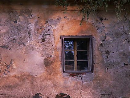 chiaro, finestra di vetro, vicino, finestra, vecchia finestra, parete, vecchio muro, canonica, Ledenice, salice, struttura costruita, architettura, esterno dell'edificio, costruzione, nessuno, caratteristica della parete, vecchio, giorno, all'aperto, intemperie, Casa, abbandonato, natura, danneggiato, quartiere residenziale, pianta, deterioramento, corri giù, 1080P, CC0, dominio pubblico, privo di copyright