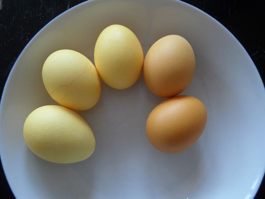 uova di Pasqua, colorato, giallo, uovo, Pasqua, bagno di colore, cibo e bevande, cibo, in casa, tuorlo d'uovo, mangiare sano, freschezza, benessere, natura morta, direttamente sopra, nessuno, cibo crudo, avvicinamento, gruppo di oggetti, vista dall'alto, ciotola, vulnerabilità, fragilità, uovo animale, gruppo medio di oggetti, tavolo, sfondo nero, prima colazione, 4K