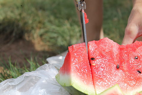 Watermelon, Melon, Fruit, Knife, red, refreshment, juicy, crushed, delicious, nuclear, summer, eat, food, freshness, human Hand, outdoors, nature, close-up, food and drink, healthy eating, real people, one person, human body part, holding, focus on foreground, hand, day, wellbeing, lifestyles, strawberry, temptation, finger, 4K, CC0, public domain, royalty free
