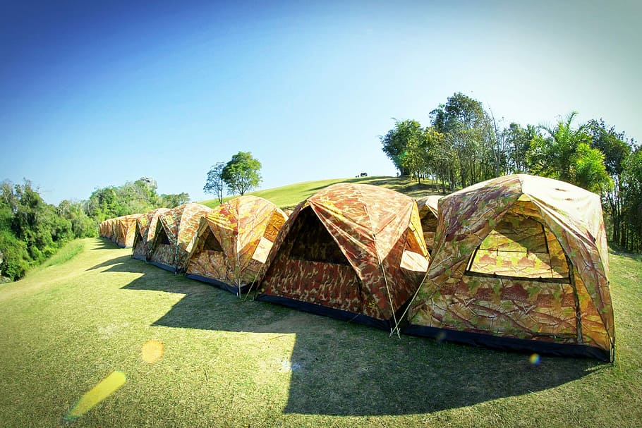 campament, tenda, arbre, Forrest, a l'aire lliure, activitat, festa, fusta, muntanya, aventura, bosc, geologia, verd, sòl, turó, històric, viatge, paisatge, natural, senderisme, naturalesa, parc, phetchabun, phitsanulok, forma, cel, pedra, estiu, sol, Tailàndia, superior, turisme, viatjar, punt de vista, salvatge, color verd, escena rural, herba, cap gent, dia, cel clar, planta, llum solar, tranquil·litat, creixement, ombra, blau, bellesa a la natura, transport, escena tranquil·la, terra, aigua, 2K
