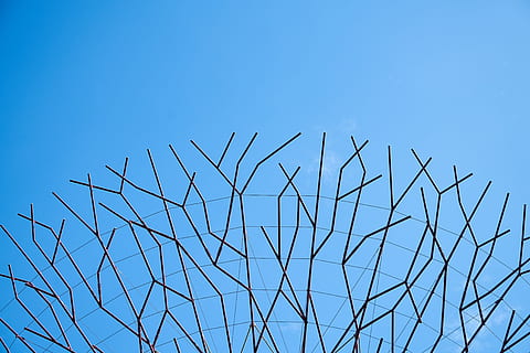 abstrakt, mønster, abstrakt mønster, ingen, makro, struktur, design, baggrund, smuk, baggrunde, detalje, ingen mennesker, lys, fotografering, selektiv fokusering, kopiere plads, tæt på, farvebillede, træ, blå, afdeling, vandret, levende farve, motiv, detaljer skud, tekstureret, vinter, himmel, lav vinkel visning, skyfri himmel, dag, natur, metal, skarp, teknologi, udendørs, forbindelse, meddelelse, hegn, pigtråd, sikkerhed, Strømforsyning, 5K, CC0, offentligt domæne, royaltyfrie