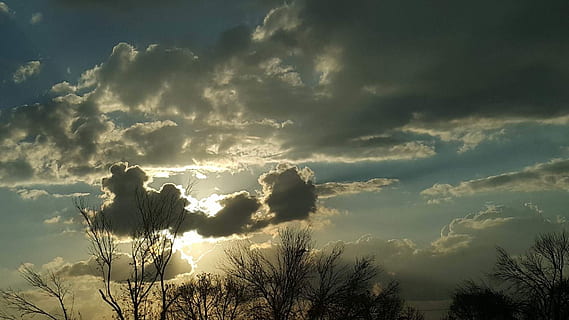 nuvole, sole, natura, nuvola - cielo, cielo, albero, bellezza nella natura, raggio di sole, pianta, luce del sole, cielo drammatico, scenics - natura, la tranquillità, nessuno, all'aperto, ambiente, Cloudscape, idilliaco, tempesta, giorno, luminosa, cima dell'albero, 1080P, CC0, dominio pubblico, privo di copyright