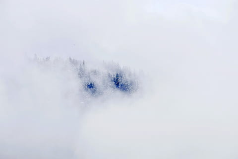 montagna coperta di neve, foresta, nebbia, nube, nuvoloso, la neve, temperatura fredda, inverno, natura, nessuno, copia spazio, Colore bianco, bellezza nella natura, giorno, all'aperto, fantasia, blu, ambiente, copertura, la tranquillità, albero, avvicinamento, fotogramma intero, scenics - natura, neve polverosa, 4K, CC0, dominio pubblico, privo di copyright