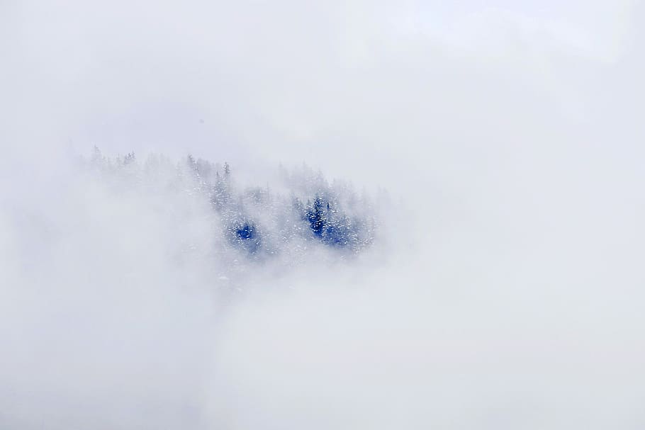 montagna coperta di neve, foresta, nebbia, nube, nuvoloso, la neve, temperatura fredda, inverno, natura, nessuno, copia spazio, Colore bianco, bellezza nella natura, giorno, all'aperto, fantasia, blu, ambiente, copertura, la tranquillità, albero, avvicinamento, fotogramma intero, scenics - natura, neve polverosa, 4K