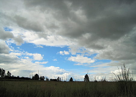 lave skyer, himmel, skyer, lav, veld, græs, høj, tør, sky - himmel, plante, jord, Mark, ro, rolig scene, miljø, landskab, skønhed i naturen, scenics - natur, ingen mennesker, natur, dag, træ, ikke-urbane scene, vækst, udendørs, 2K, CC0, offentligt domæne, royaltyfrie
