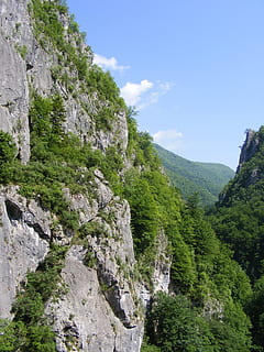Černá, Godeanu, munţi, Retezatul, drum, călătorie, vale, natură, Munte, frumusețe în natură, plantă, copac, cer, scenice - natura, liniște, stâncă, mediu inconjurator, Culoarea verde, zi, nici o persoana, scenă non-urbană, creştere, o scenă liniștită, teren, în aer liber, peisaj, 2K, CC0, domeniu public, fără drepturi de autor