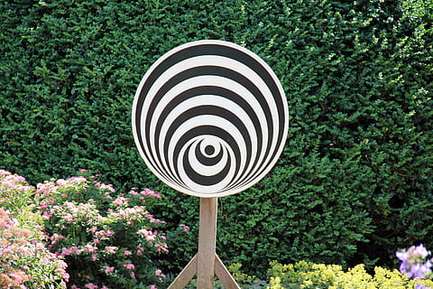 geometri, cirkel, distrikt, disk, kunst, mål, sort og hvid, optisk effekt, optisk bedrag, dag, ingen mennesker, udendørs, koncentriske, tæt på, natur, plante, vækst, geometrisk form, blomst, mønster, form, direkte over, træ, blomstrende plante, skønhed i naturen, design, grøn farve, friskhed, kreativitet, 5K, CC0, offentligt domæne, royaltyfrie
