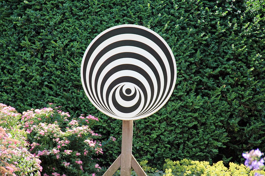 geometria, cercle, districte, disc, art, objectiu, blanc i negre, efecte òptic, engany òptic, dia, cap gent, a l'aire lliure, concèntric, primer pla, naturalesa, planta, creixement, forma geomètrica, flor, patró, forma, directament a sobre, arbre, planta amb flors, bellesa a la natura, disseny, color verd, frescor, creativitat, 5K