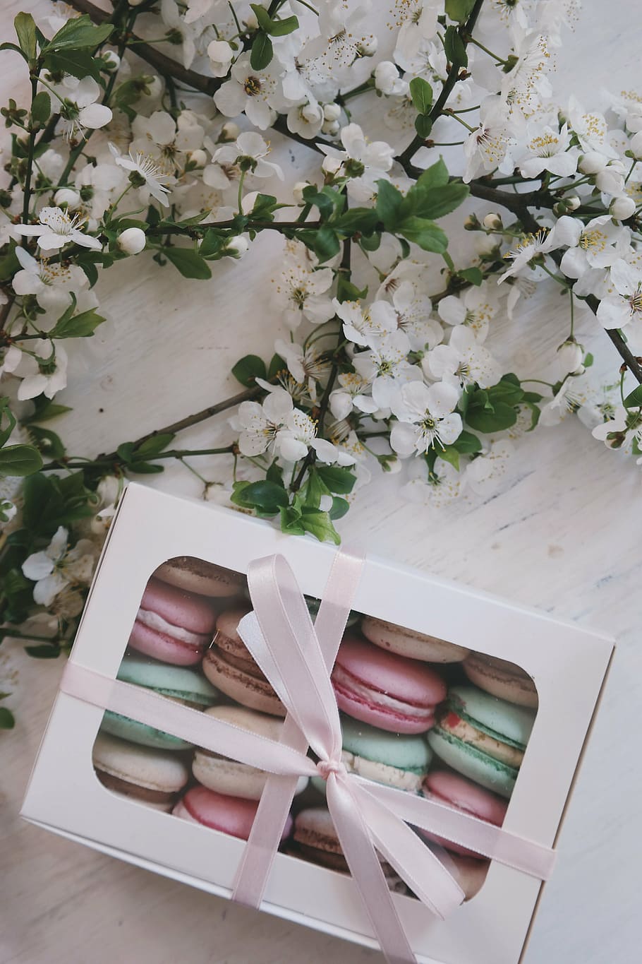 macarons, Caixa, blanc, flors de pètals, taula, flor, pètal, florir, jardí, planta, naturalesa, tardor, caure, pa, pastisseria, cinta, menjar, postres, planta amb flors, bellesa a la natura, cap gent, frescor, vista d’angle alt, a l'interior, fragilitat, primer pla, vulnerabilitat, natura morta, Color blanc, publicació, cap de flor, dia, arranjament floral, Ram de flors, bouquet, suavitat, 5K