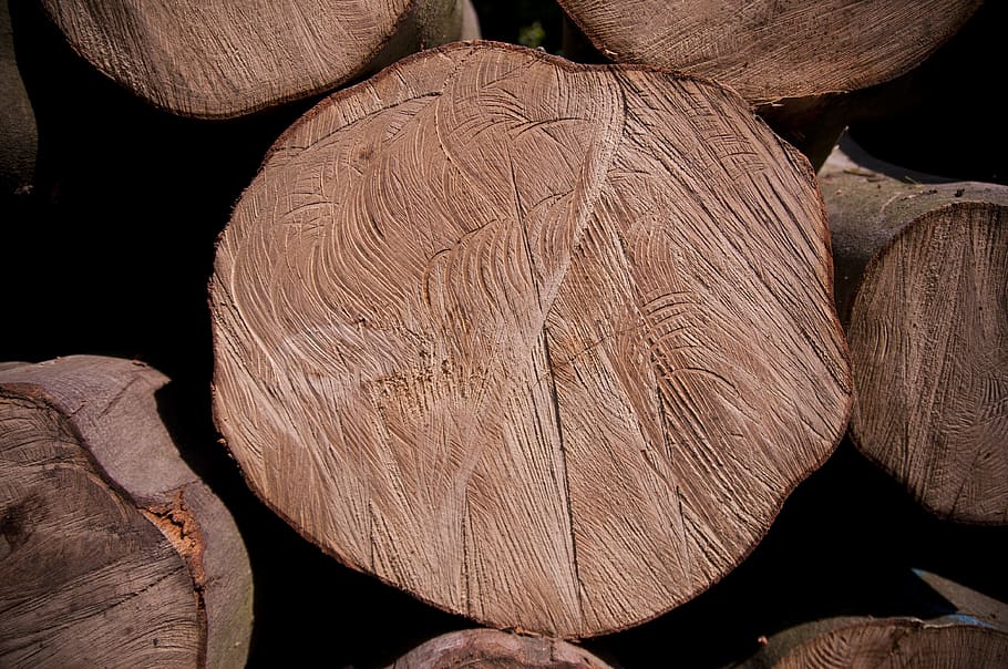 træ, struktur, Skov, havearbejde, barken, bagagerum, strukturen af, natur, Konar, baggrunden, baggrund, træstammer, faktura, kul, naturlig, tæt på, træ - materiale, tømmer, log, tekstureret, Brun, skovrydning, ingen mennesker, tømmerindustrien, plante, fuld ramme, baggrunde, dag, Brænde, ru, udendørs, sort baggrund, trækorn, træ ring, 4K