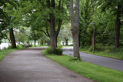 bosque, camino, arboles, naturaleza, hoja, excursionismo, paisaje, sendero, la carretera, verde, caminar, camino rural, parque, ruta, montaña, lago, calma, planta, árbol, dirección, el camino a seguir, crecimiento, el maletero, tronco de arbol, color verde, transporte, belleza en la naturaleza, día, perspectiva decreciente, hierba, nadie, calle, tranquilidad, al aire libre, treelined, largo, 5K, CC0, dominio público, libre de derechos