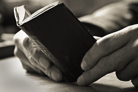 persona, detenzione, mini libro, mano, uomo, libro, vecchio, persone, mano umana, parte del corpo umano, avvicinamento, parte del corpo, pubblicazione, attività, finanza, adulto, lettura, in casa, messa a fuoco selettiva, scrittura, carta, moneta, attività commerciale, dito, arto umano, 4K, CC0, dominio pubblico, privo di copyright