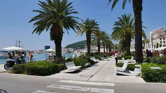 Teilt, Strand, Promenade, Handflächen, Strandpromenade, Palme, Baum, zufällige Menschen, draußen, Tag, Stadt, tropisches Klima, Pflanze, die Architektur, Gebäudehülle, Gruppe von Leuten, Natur, Himmel, gebaute Struktur, Männer, Fußweg, Menschen, Straße, Sonnenlicht, Dattelpalme, Erwachsene, Frau, Bürogebäude außen, 4K, CC0, gemeinfrei, lizenzfrei
