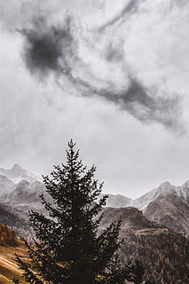 verde, Pino, nuvoloso, cielo, pianta, grigio, nube, lunatico, montagna, autunno, natura, giorno nuvoloso, foresta, cresta montuosa, paesaggio, verticale, in viaggio, Esplorare, Lappago, albero, nuvola - cielo, bellezza nella natura, scenics - natura, la tranquillità, scena tranquilla, catena montuosa, nessuno, scena non urbana, temperatura fredda, la neve, inverno, giorno, ambiente, crescita, all'aperto, montagna innevata, albero di conifere, picco di montagna, 5K, CC0, dominio pubblico, privo di copyright
